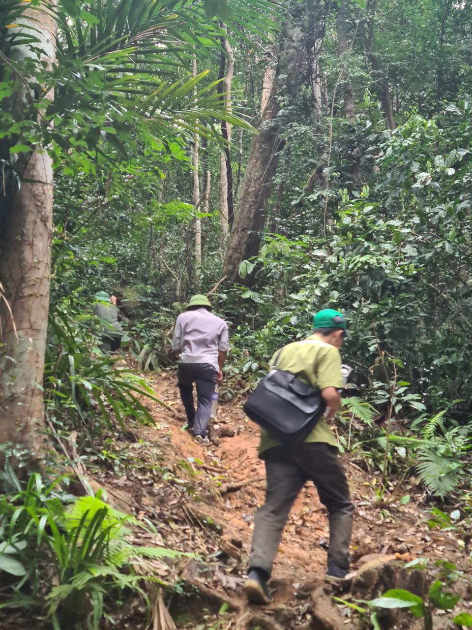 Tuần tra, kiểm tra